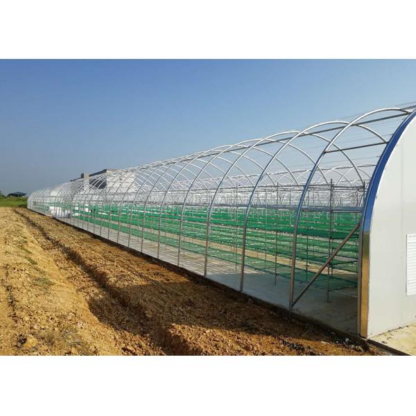 Uv Waterproof Mushroom Growing Greenhouse Reinforced Plastic Sheeting Greenhouse