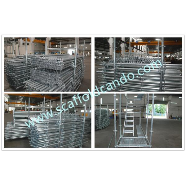 Ringlock scaffolding system standards verticals for construction, hot dip galvanized BS1139 500,1000,1500,2000,3000mmL