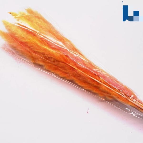 Wholesale Price Preserved Flower Dried Rabbit Tail Grass   Decorative Flowers