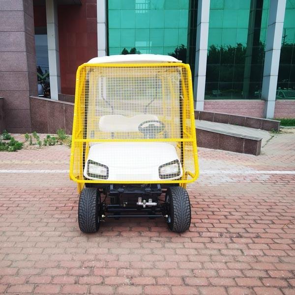 Steel Frame 2 Seater Golf Cart New Energy Vehicles ODM 1 Years Warranty Lithium Battery Power