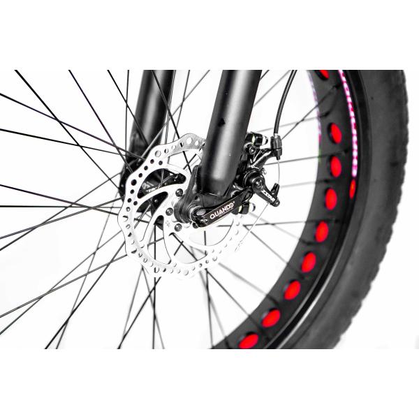 48V 21ah Aluminum Alloy Full Suspension Frame Fat Tire Electric Bike with 1000W Motor