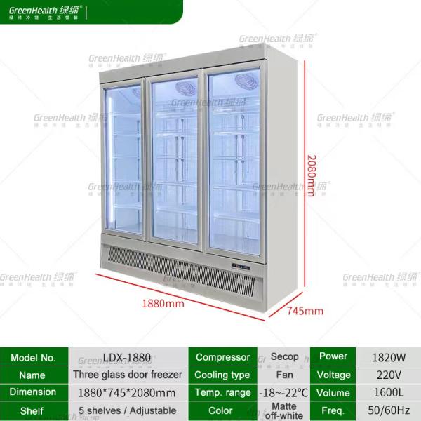 Self Defrost Frozen Glass Door Freezer 1600L Secop Compressor