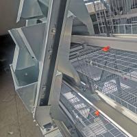 Sistema automático completo da limpeza do estrume de Chick Cage Hot Galvanized With do bebê da grelha