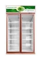service en verre vertical d'OEM de refroidisseur de boisson de porte de l'étagère 220V réglable