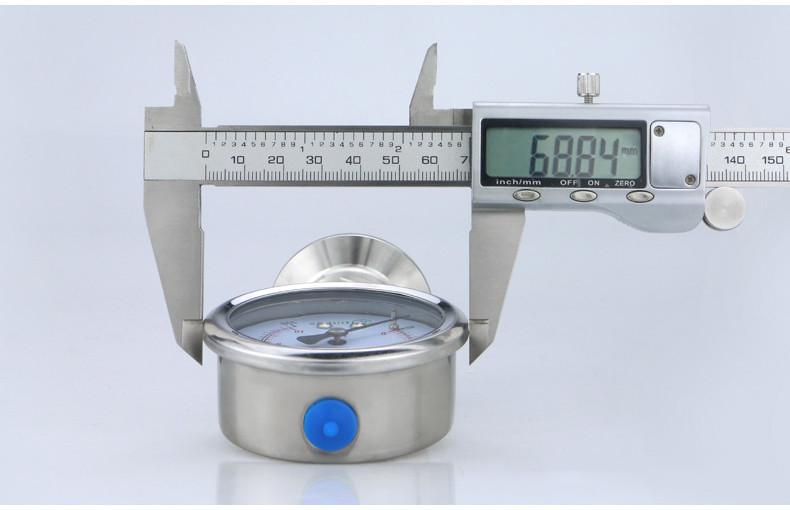 2.5% Accuracy Sanitary Diaphragm Pressure Measuring Device with Glycerin Filled Case