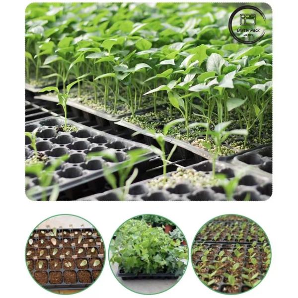 Acessível Multi Cell grandes bandejas de sementes de plástico 21 a 120 células para vegetais e plantas