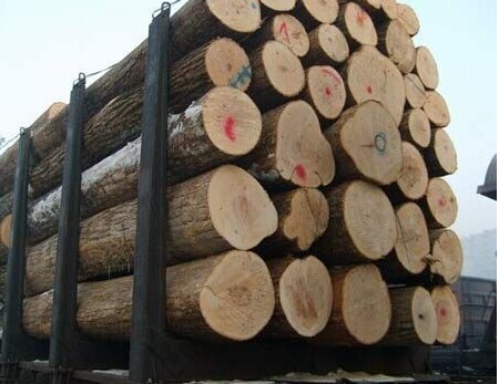 0.5mm Sliced Veneer Basswood Crown Cut Veneer interior For Edge Banding