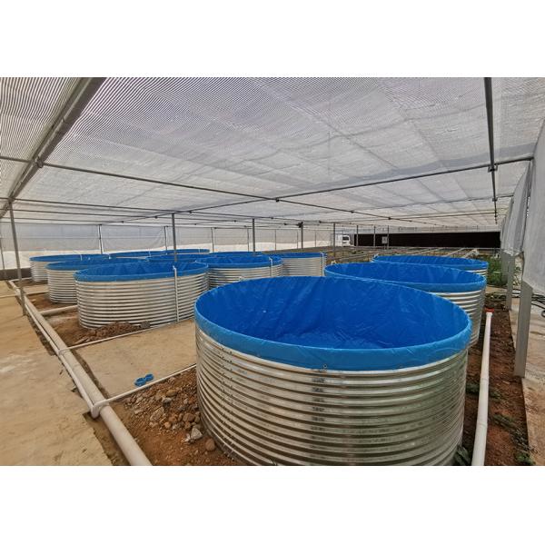 Industrial Indoor Recirculating Aquaculture System 7kg/M³ Shrimp Density 30% Faster Growth