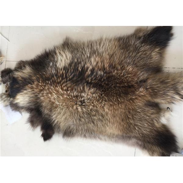 Respetuoso del medio ambiente verdad el abrigo auténtico 100% del mantón del cuello de la piel del mapache grande