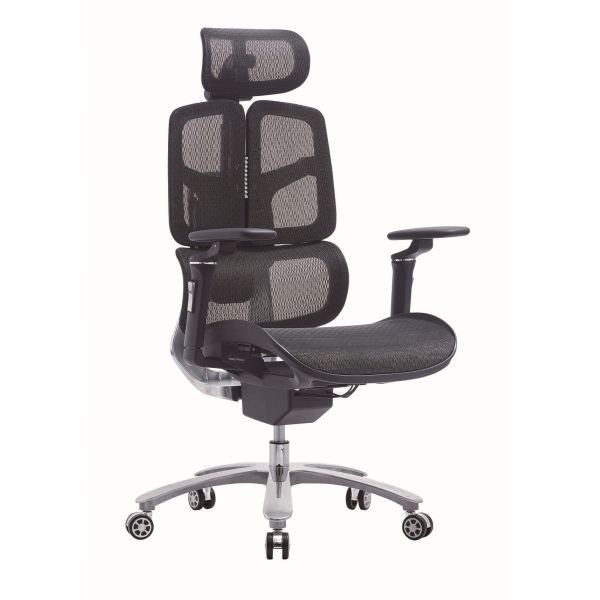 Modern Ergonomic Full Mesh Chair 6D Armrest 2D Lumbar Office Chair