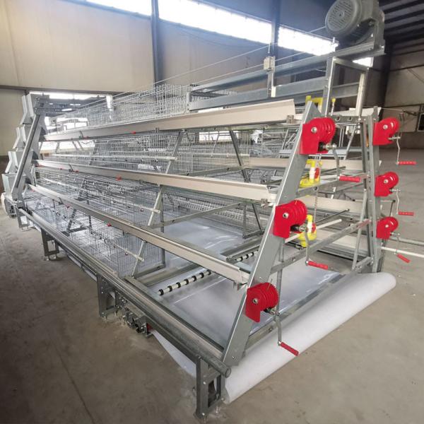 Exploração agrícola galvanizada da demonstração de Mesh Baby Chick Cage For do fio de aço