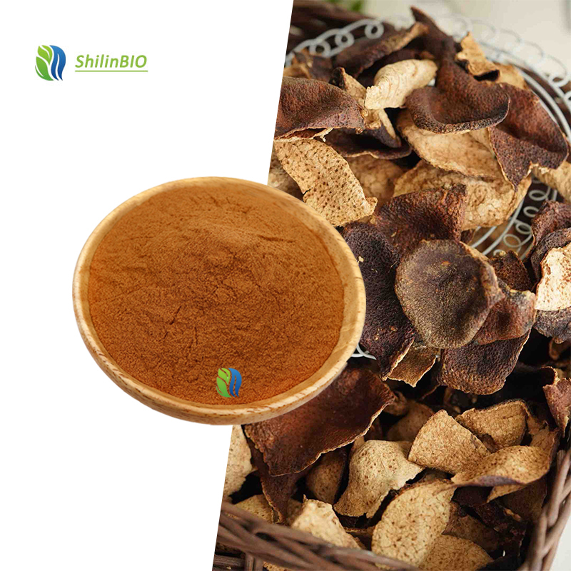 High Quality 10:1 20:1 30:1 Citri Reticulatae Pericarpium Extract Herbal Extract