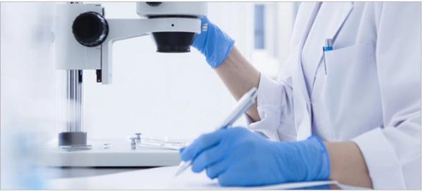 Nitrile Latex Vinyl gloves manufacturer price 2020 CE FDA disposable Safety PVC Medical powder-free Nitrile gloves