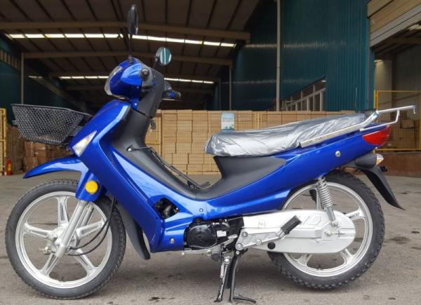 OEM 110cc Cub Motorcycle / Riders Super Cub With Disc Brake Petro Fuel