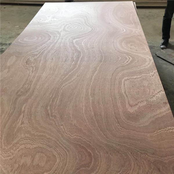First Class Glue E0 E1 1250x2500mm Sapele Marine Plywood