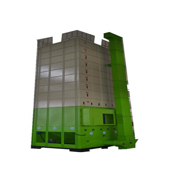 Mini Type 8 Ton Capacity 12000mm Paddy Dryer Machine with Multi-Fuel Heating for Corn Rice and Grain Drying