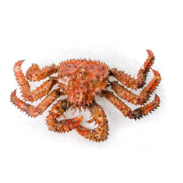 Désacétylation blanche de la poudre 85% de chitosane de couleur pour l'agriculture de polymère