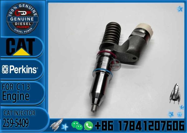 Fuel Injector Assembly 259-5409 10R-2977 10R-6162 20R-2437 212-3462 10R-0961 212-3463 For CAT Engine C13 Series