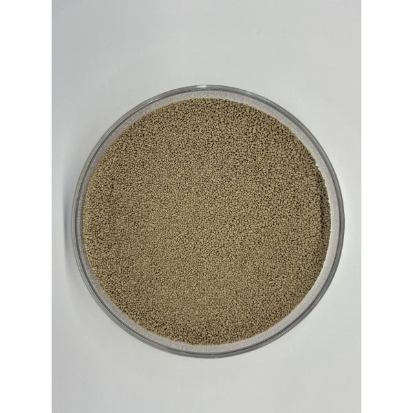 High-Stability Feed Protease Enzyme for Protein Utilization and Amino Acid Digestibility | BP100