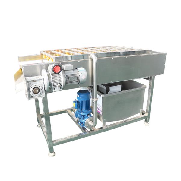 Wholesale 2800W Heating Adjustable Speed Nozzles Pet Dog Hair Dryer Machine Pet Grooming Professional Dryer