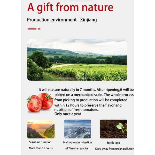 Соус 400g томатной пасты Синьцзян свежий от еды Mygou