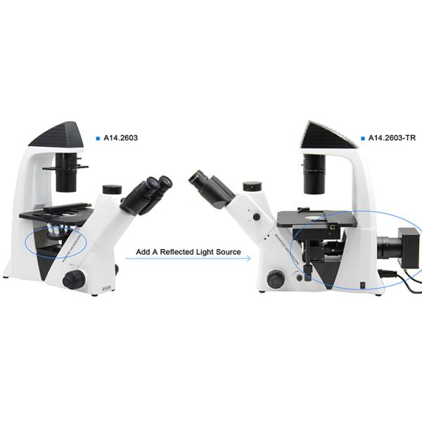 Mechanical Stage Inverted Light Microscope / Digital Inverted Microscope
