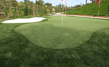 Golf Artificial Turf with 17mm Pile Height High Density and PU Adhesive for Synthetic Putting Greens