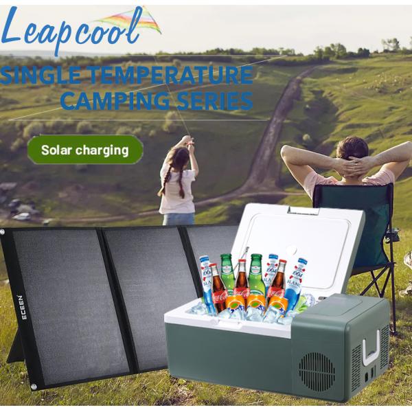 Частный формовой 12В мини-автомобильный холодильник для переносной охлаждения производительности