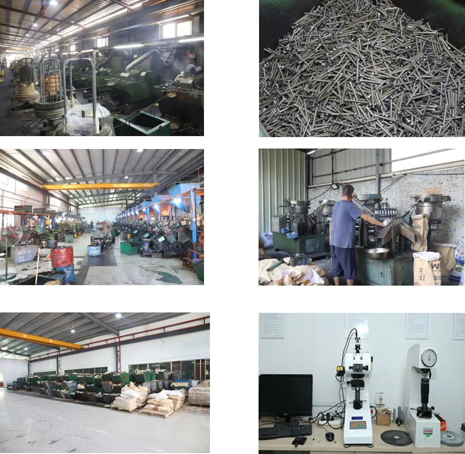 Собственной личности крепежной детали металла лотка нержавеющей стали винт главной сверля