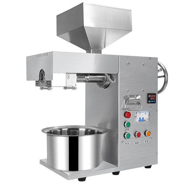 Design 220V/50Hz Stainless Steel Coconut Oil Press Machine with 20-30kg Output