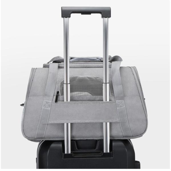 OEM Carry On Travel Bag Waterproof Fitness Bag Dry Wet Separation Exercise Handbag