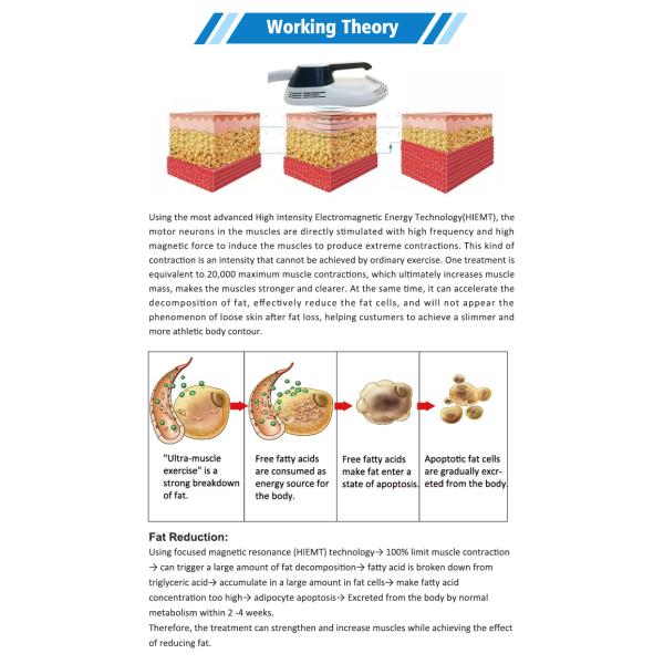 Build Muscle Ems Fat Removal Weight Loss Machine Electromagnetic Body Slimming Beauty Equipment