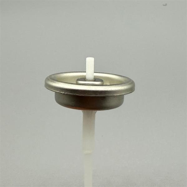 1 pouce Aérosol Metered Valve avec Tête en plastique pour les assainisseurs d'air et les pulvérisateurs ménagers