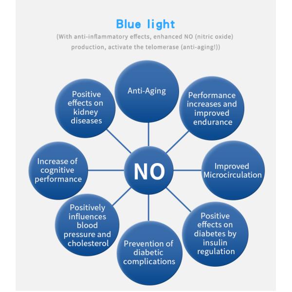 Наручные часы терапией лазера для высокой обработки Сугер крови против старения