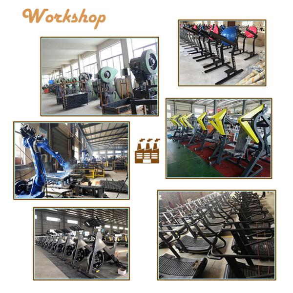 Steel Tube Pectoral Fly Rear Deltoid Full Gym Equipment