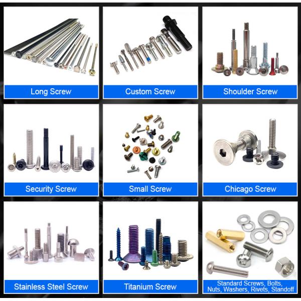 Custom Fasteners Special Head Zinc Plated Carbon Stainless Steel Alloy Titanium Aluminum Bronze Brass Plug Screw Polishing Spare Part