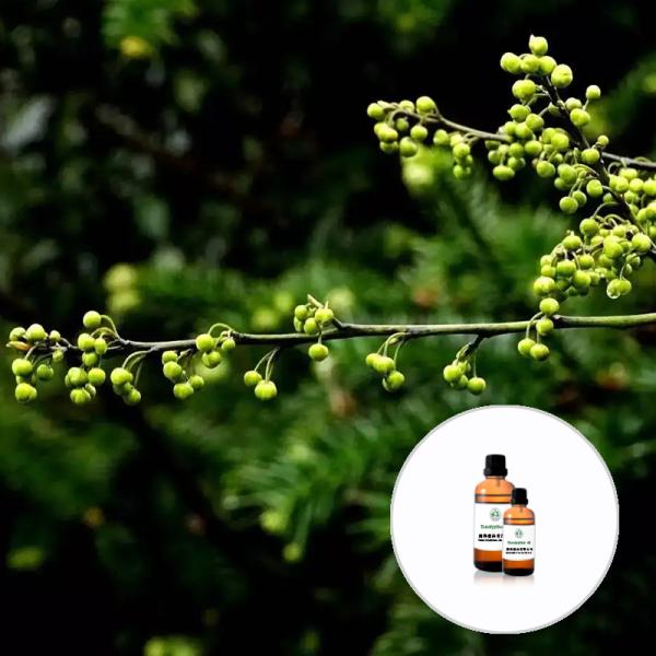 Cas 5392-40-5 Natural Citral