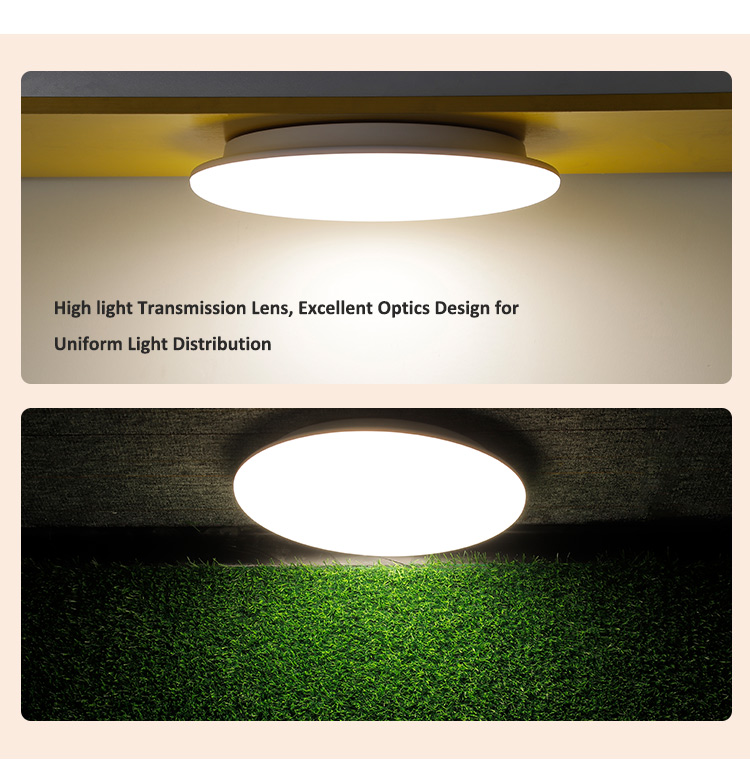 IP65 Waterproof Dimmable LED Ceiling Light with Emergency Function for Outdoor and Indoor Use