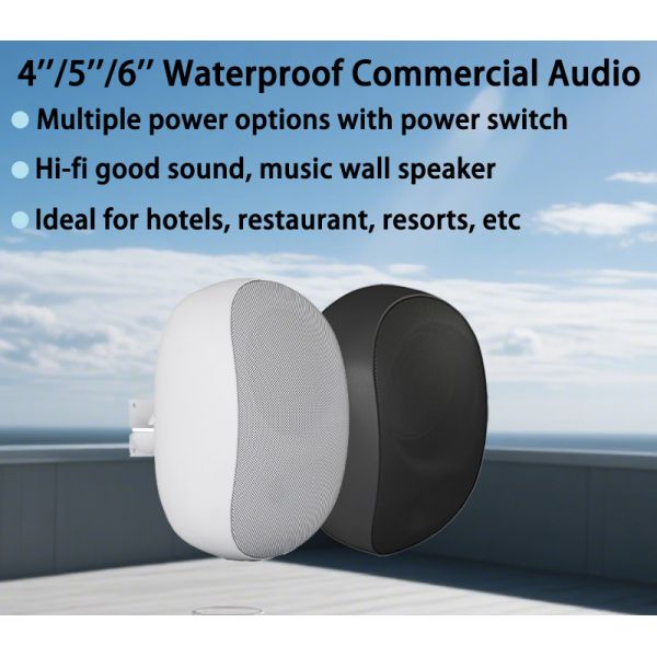 5-inch 30W/15W/7.5W/3.75W Waterproof Speaker Commercial Audio Bluetooth Function Logo Customization Factory Direct Sale