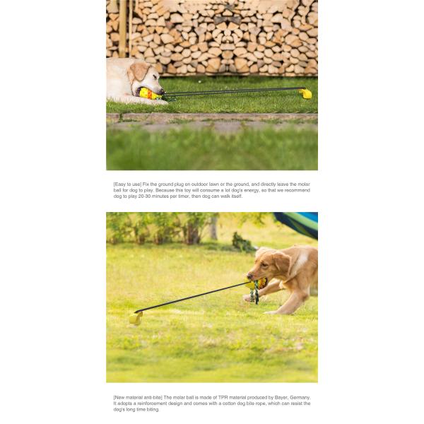 Elastic Plastic Cute Pet Toys Outdoor Water Dog Chewing Ball