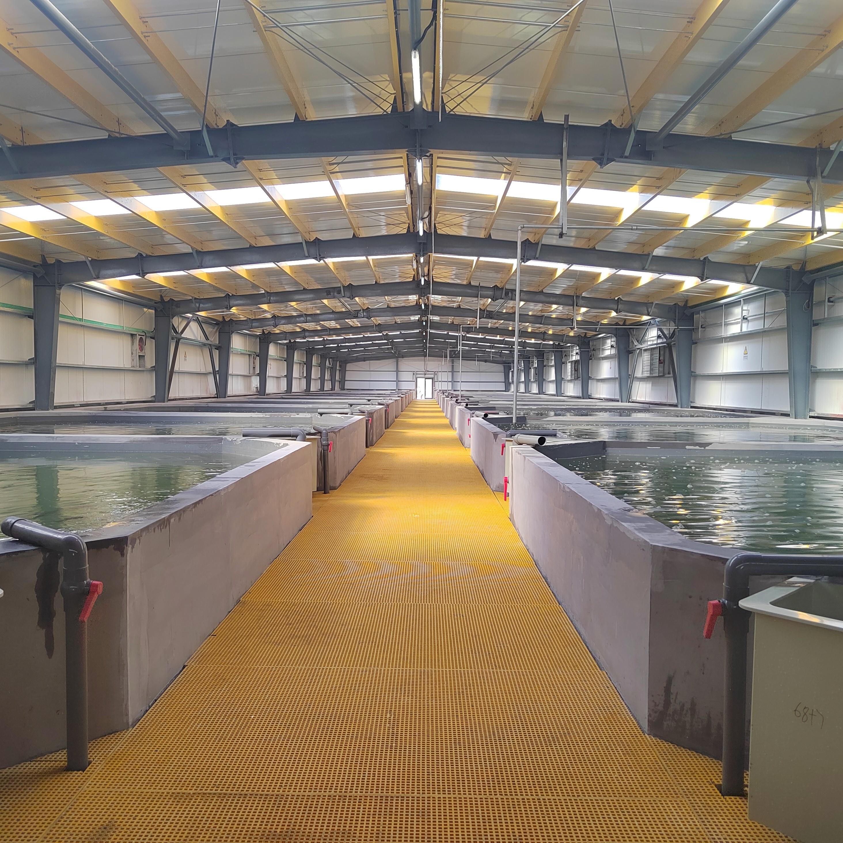 Steel Base Prefab Steel Building Corrosion Resistant Weatherproof Durable For Workshops And Green House