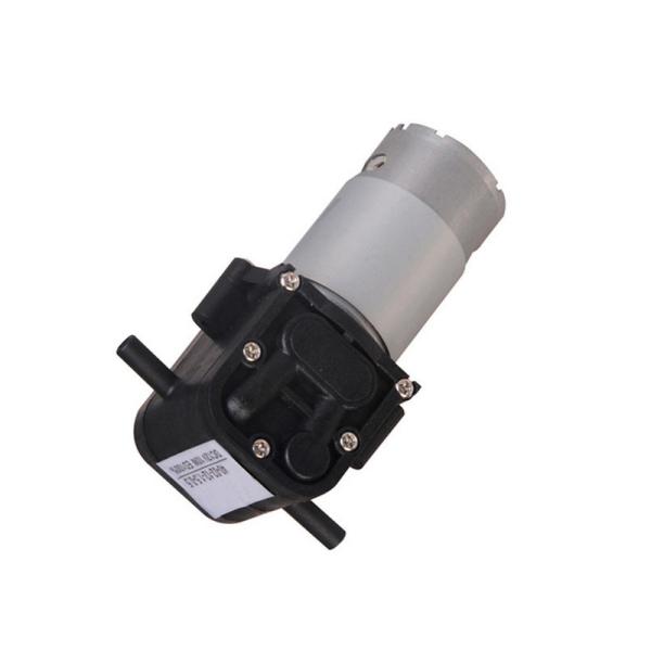 Miniature Diaphragm Pump DC 12V 24V 36V Water Pump Water Purifier FDA Food Grade Pump 2L/min mini water dispenser pump