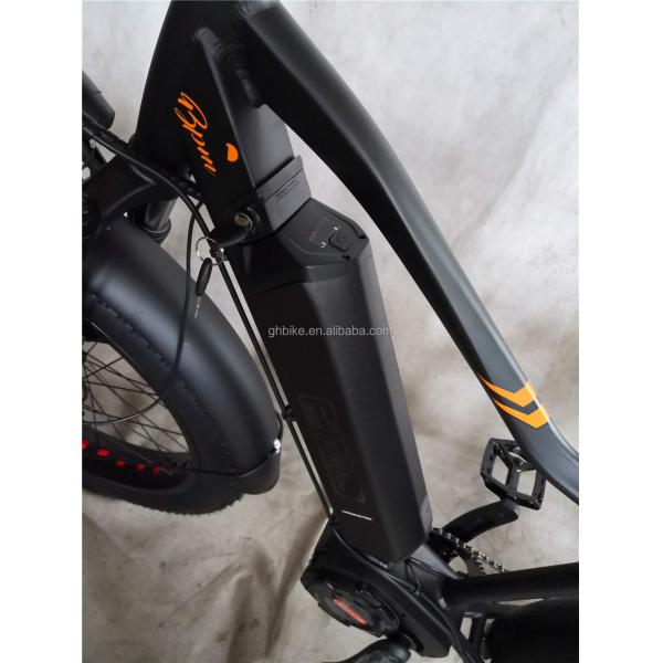 Adult Fat Tyre Cycle E Ebike Electric Bike 48V 1000W 21A Central Mid Drive Motor 26 Inch