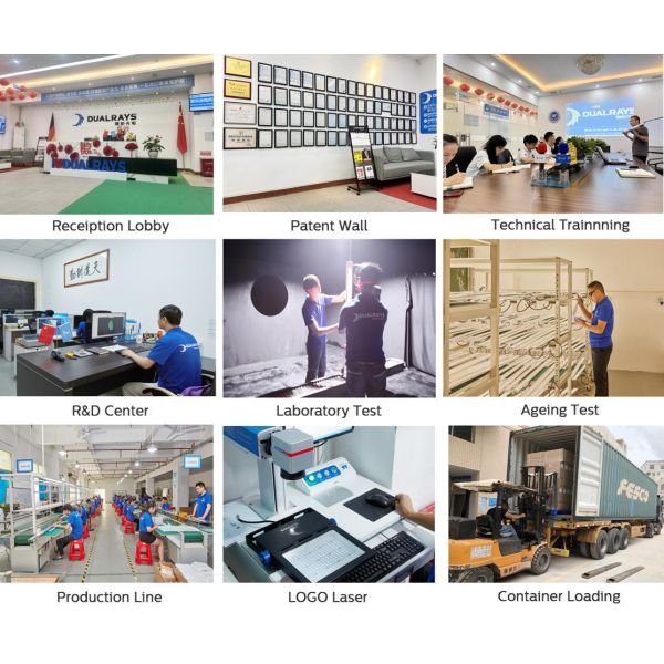 DUALRAYS Europe Warehouse LED Moisture-proof Light and LED Highbay Light Shipment Directly from Netherlands within 3 Business Days and Enjoy Local After-sales Service with Local Engineers