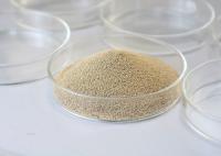 PH Range 5.0-8.0 Immobilized Enzyme Lipase Used In Oil And Grease Processing Industries