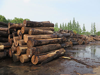 Lonson Veneer Co.,Ltd