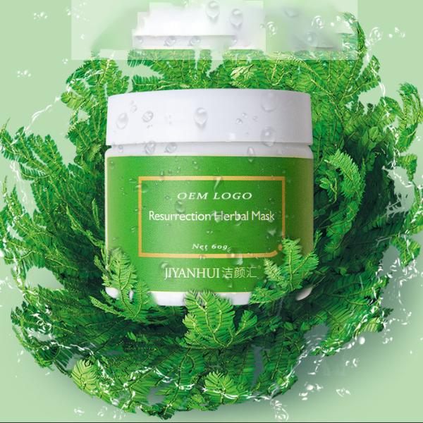 A nutrição facial da máscara do sono de creme úmido japonês da grama do renascimento da máscara impulsiona a iluminação