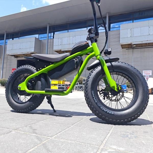 36V350W Electric Off-Road Dirt Bike for Kids Customizable Lithium Battery and Braking System