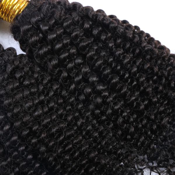 Natural Color Kinky Curl Original Brazilian Human Hair Wet and Wavy Weave