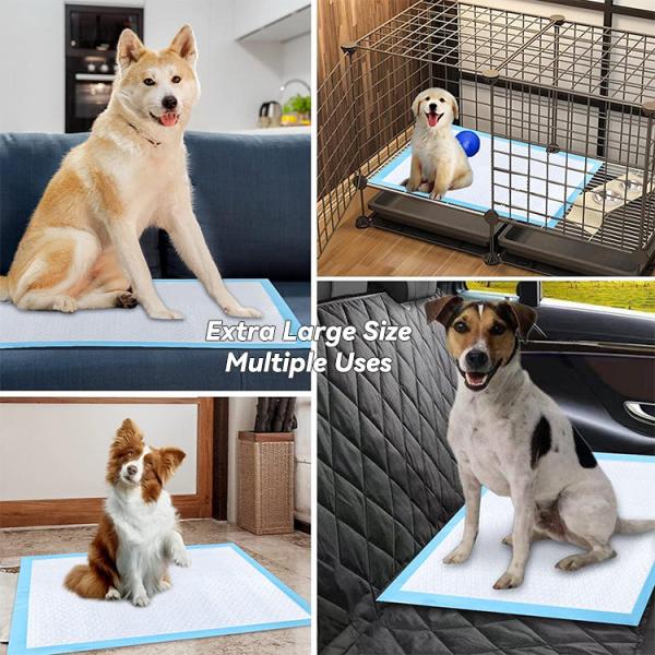 Extra Large Disposable Mats For Dogs , Cat Puppy Train Pads Multi Layered Construction